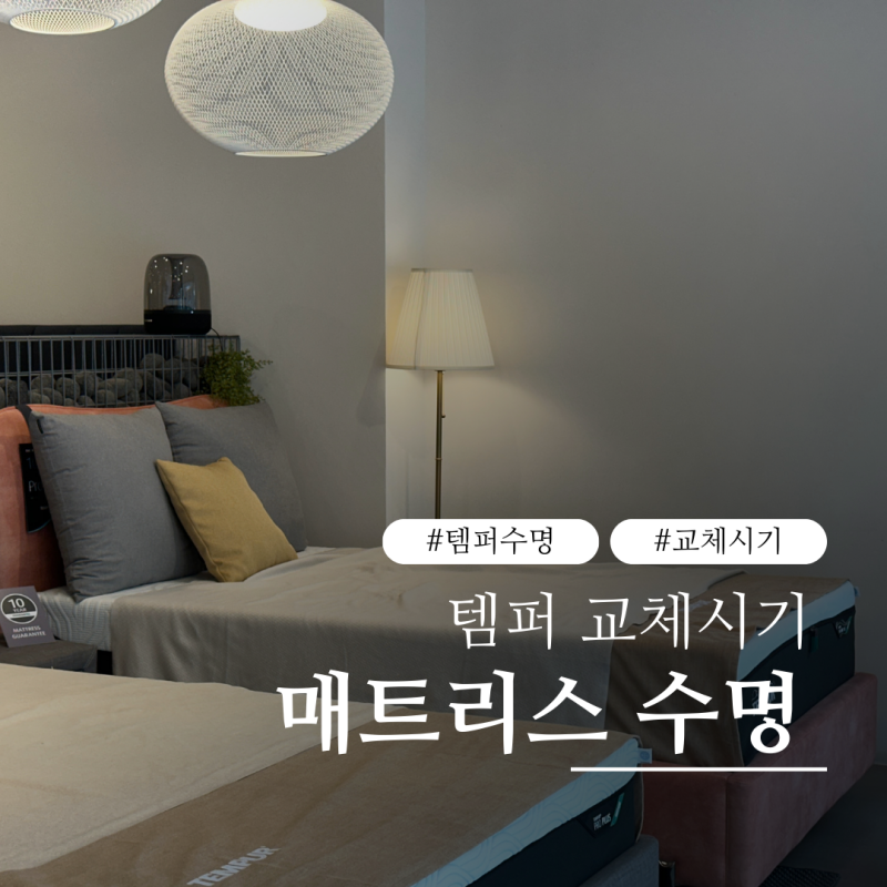 템퍼 매트리스 수명, 얼마나 사용할 수 있을까?