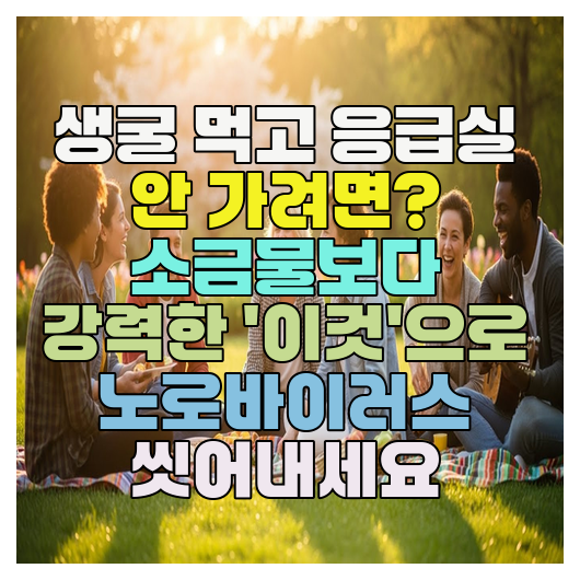  생굴 먹고 응급실 안 가려면? 소금물보다 강력한 '이것'으로 노로바이러스 씻어내세요