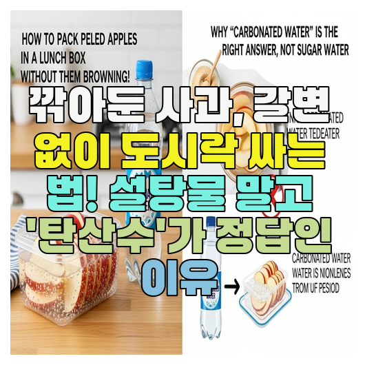  깎아둔 사과, 갈변 없이 도시락 싸는 법! 설탕물 말고 '탄산수'가 정답인 이유