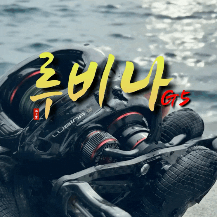  도요 루비나G5 문어 낚시 저기어비 베이트릴 추천