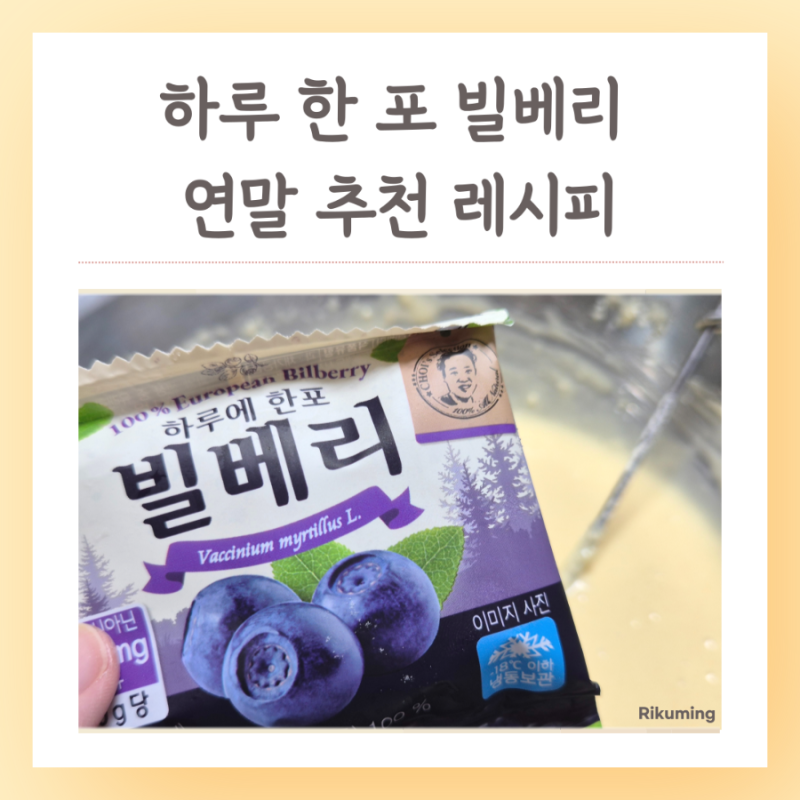 빌베리 자연원 하루 한포 냉동 과일 추천 레시피 2가지