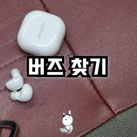 갤럭시 버즈 찾기 (버스에서 떨어뜨린 한쪽 소리로 찾은 후기)