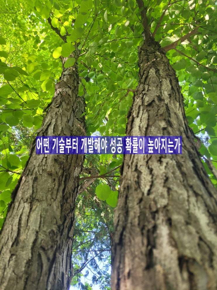  어떤 기술부터 개발해야 성공 확률이 높아지는가, 중소기업전략기술로드맵