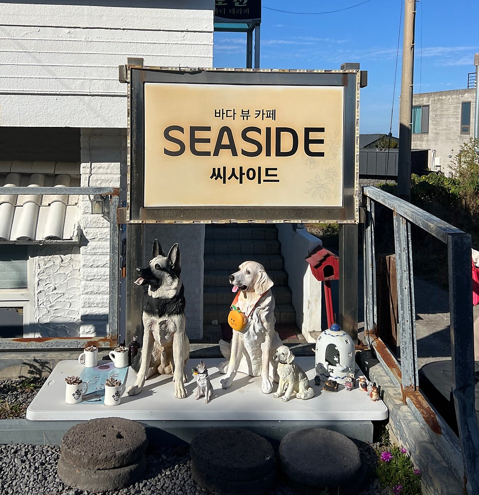 씨싸이드 제주 사진 4