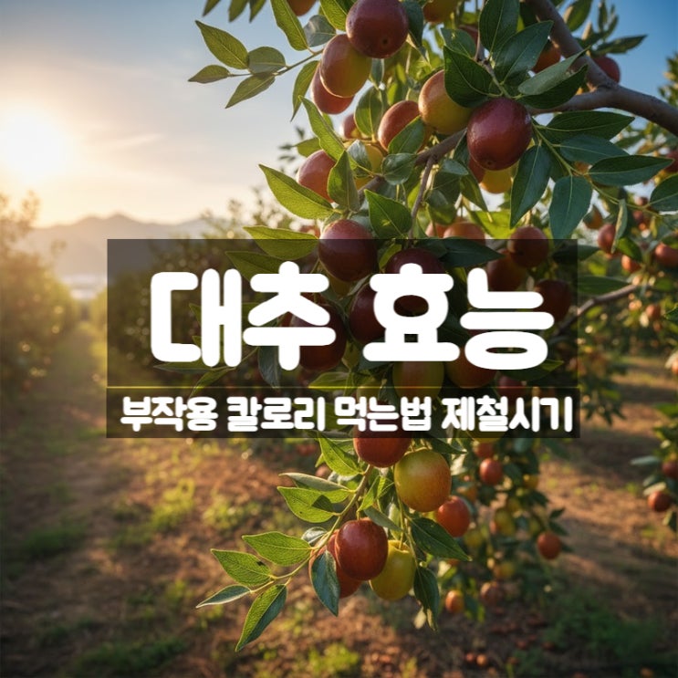 대추 효능 부작용 먹는법 - 겨울철 숙면을 도와주는 대추차 대추즙