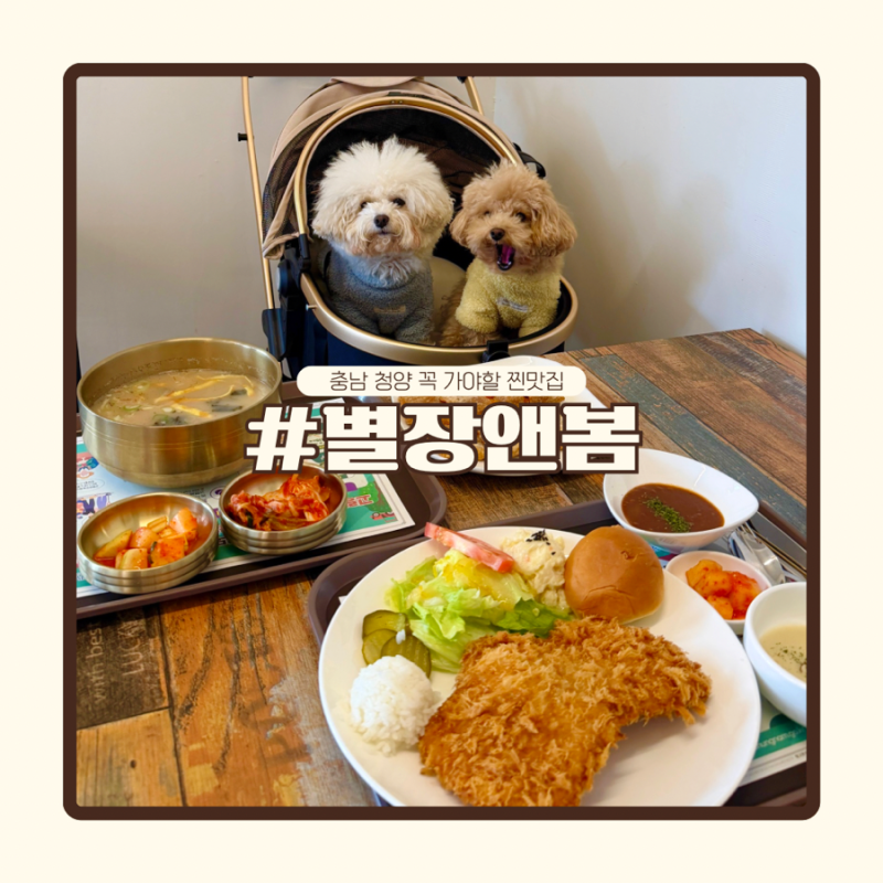 사진 7