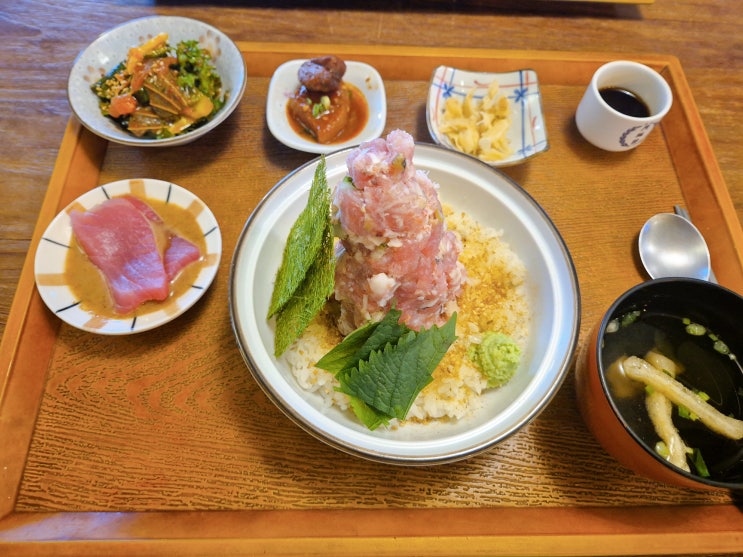  신사역 오끼참치앤스시, 도쿄츠지한 네기도로 비교후기