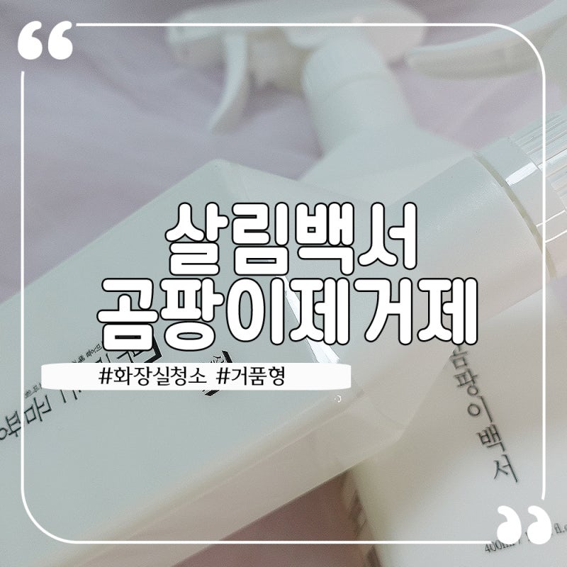 청소초보도 쉽게 쓰는 살림백서 뿌리는 곰팡이 제거제