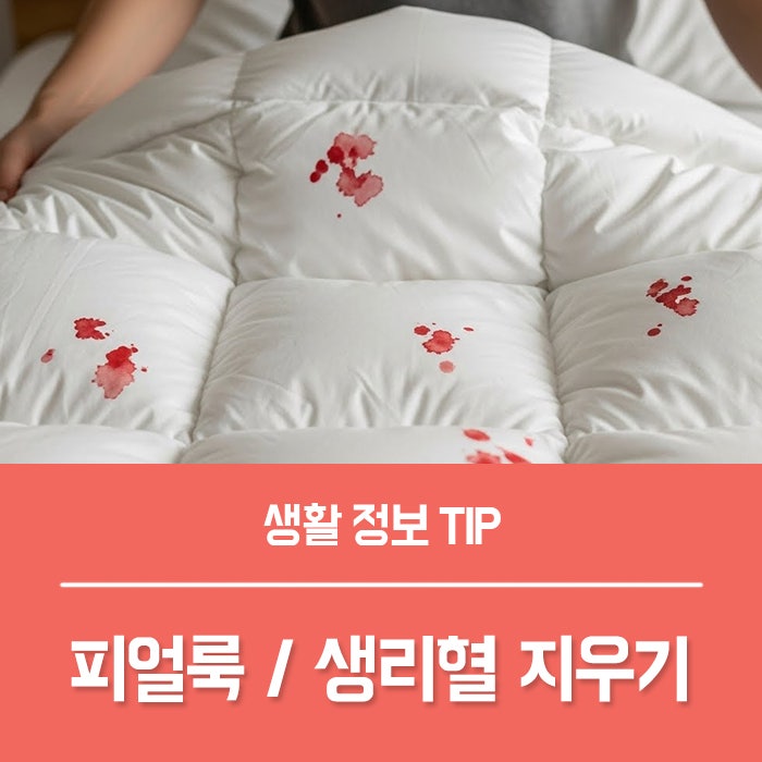 피얼룩제거, 이불 생리혈 지우기 방법 TOP4