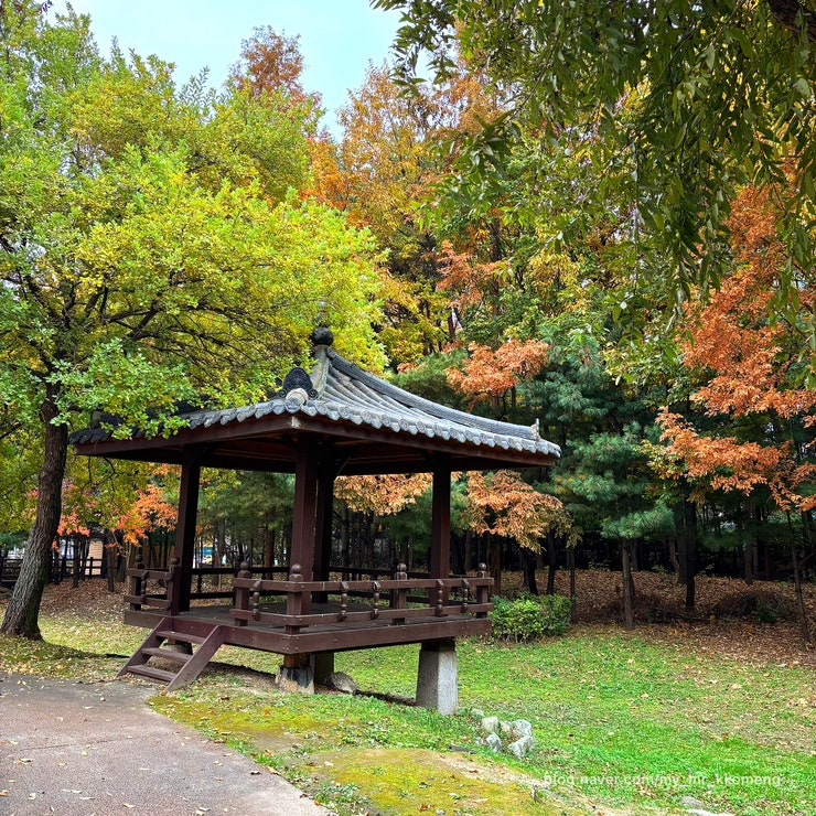 용인에버라인 초당역과 이어진 한길찬공원! 강아지랑 산책하기 좋은 곳-
