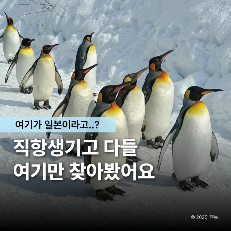  2026년 여행 고수들이 노린다는 이곳, 검색량 476% 치솟은 여행지의 정체