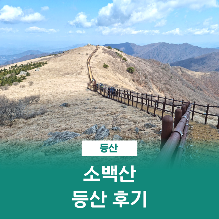  소백산 등산 어의곡코스 새밭유원지 어의곡삼거리 비로봉 최단코스