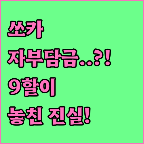 쏘카 이용자 10명 중 9명이 모르는 자부담금 3가지 진실