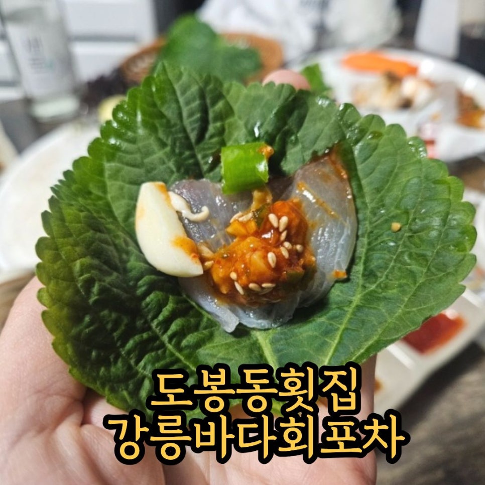 강릉바다회포차 사진