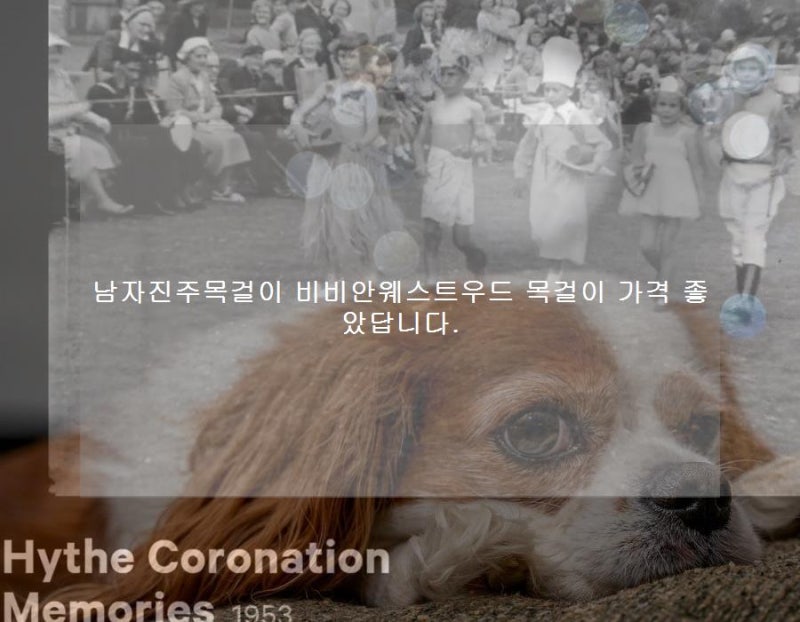 남자진주목걸이 비비안웨스트우드 목걸이 가격 좋았답니다.