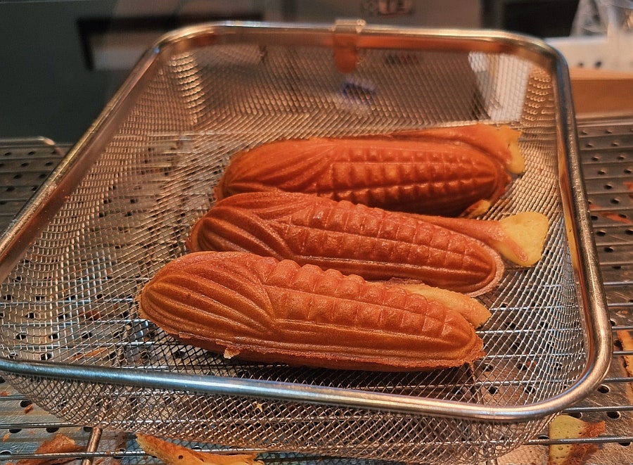 아띠몽 사진 6