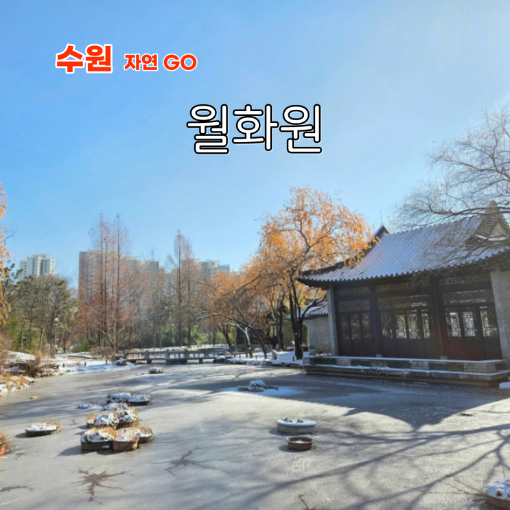  서울 근교 드라이브 여행 수원 근처 겨울 여행지 월화원 포토존