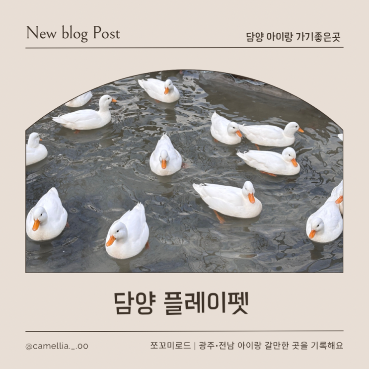  [내돈내산] 광주 근교 아이랑 주말 나들이, 담양 플레이펫 리얼 후기