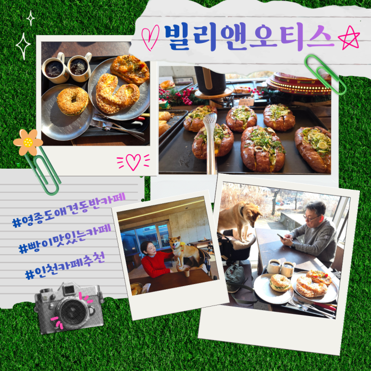  영종도 애견동반 카페 '빌리앤오티스' 내돈내산 맛있는 베이커리&커피집 찾는다면?