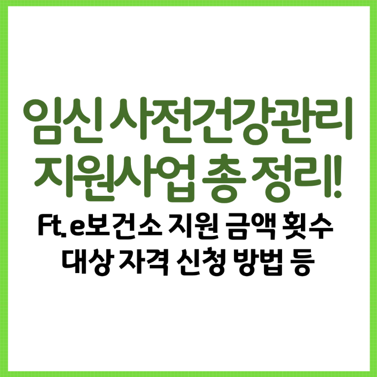  임신 사전건강관리 지원사업 총 정리! Ft. e보건소 지원 금액 횟수 대상 자격 신청 방법 등