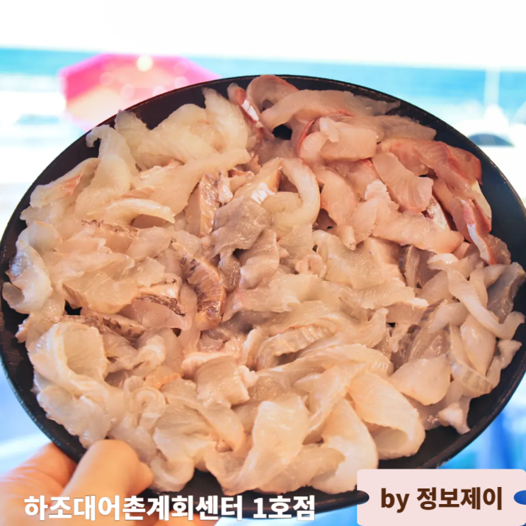  강원도 양양 횟집 바다뷰 회 맛집 하조대어촌계회센터 1호점 후기