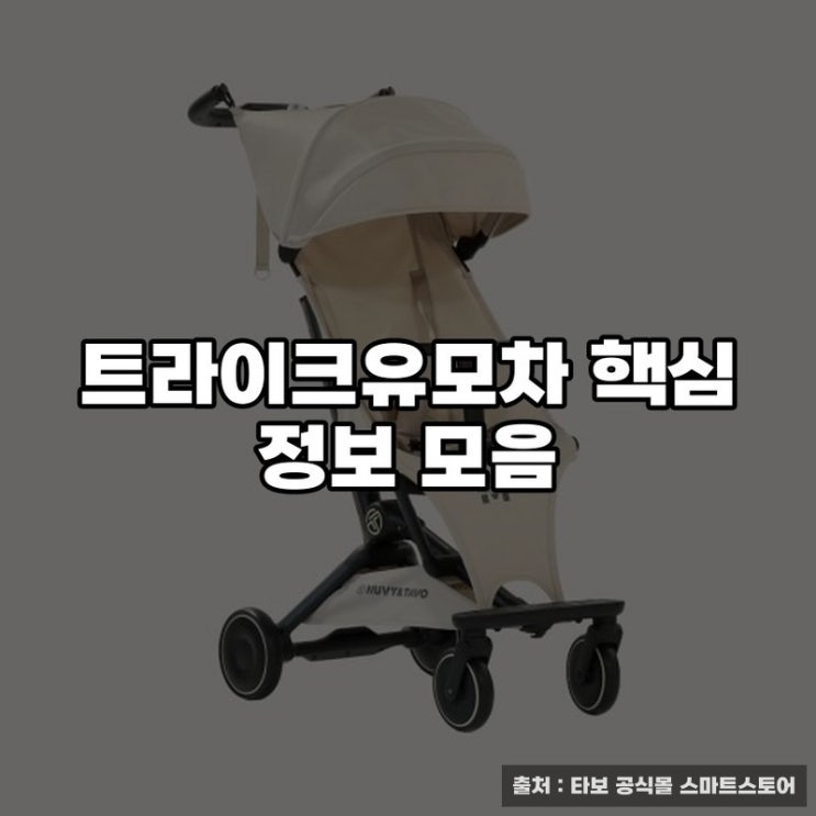  트라이크유모차 핵심 정보 모음