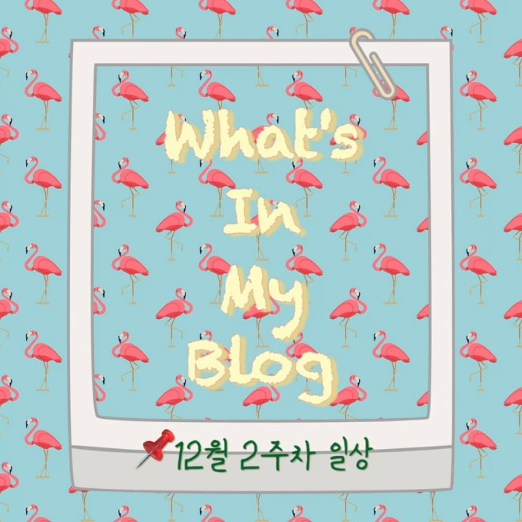  12월 2주 차 일상 정리 왓츠인마이블로그 블챌