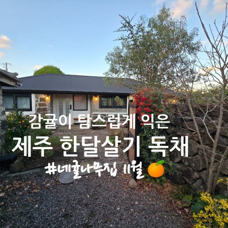  제주 한달살기 아이랑, 아기와 함께하는 숙소, 11월
