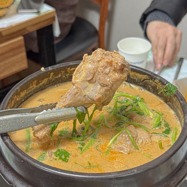  광주 북구 맛집 태화오리탕 광주역 근처 로컬 식당