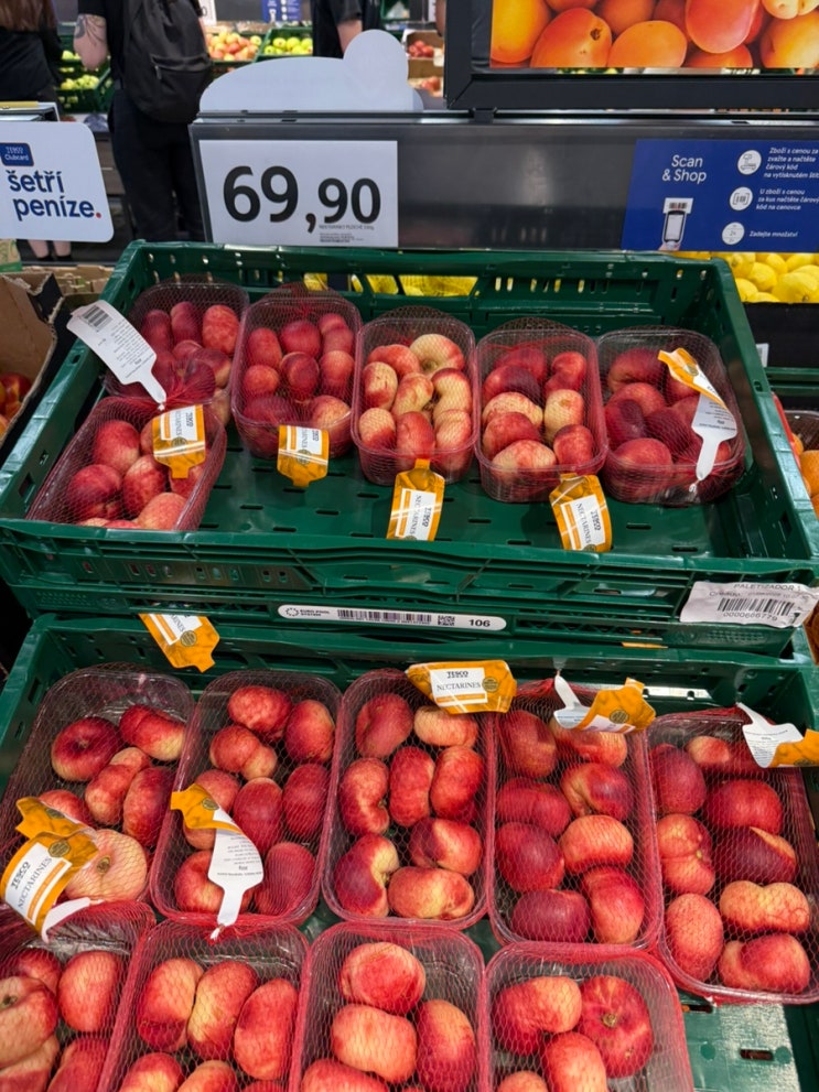  프라하기념품쇼핑 늦게까지 여는 프라하마트 Tesco 테스코 말렌카꿀케이크와 납작복숭아파는곳