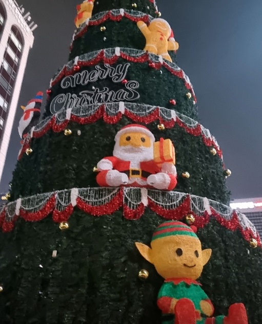  12월에 가볼만한곳