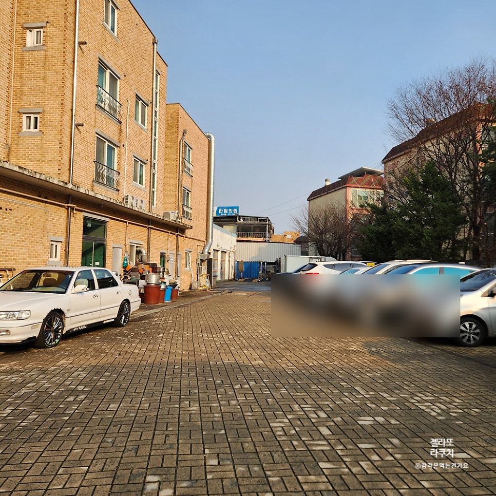 라쿠치 사진 5