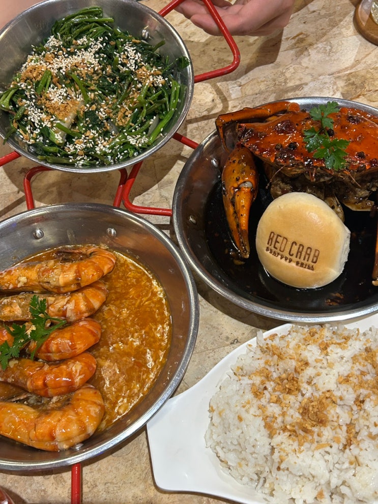  보홀맛집추천 연예인들의 당골 맛집 레드크랩 가격 무료픽드랍