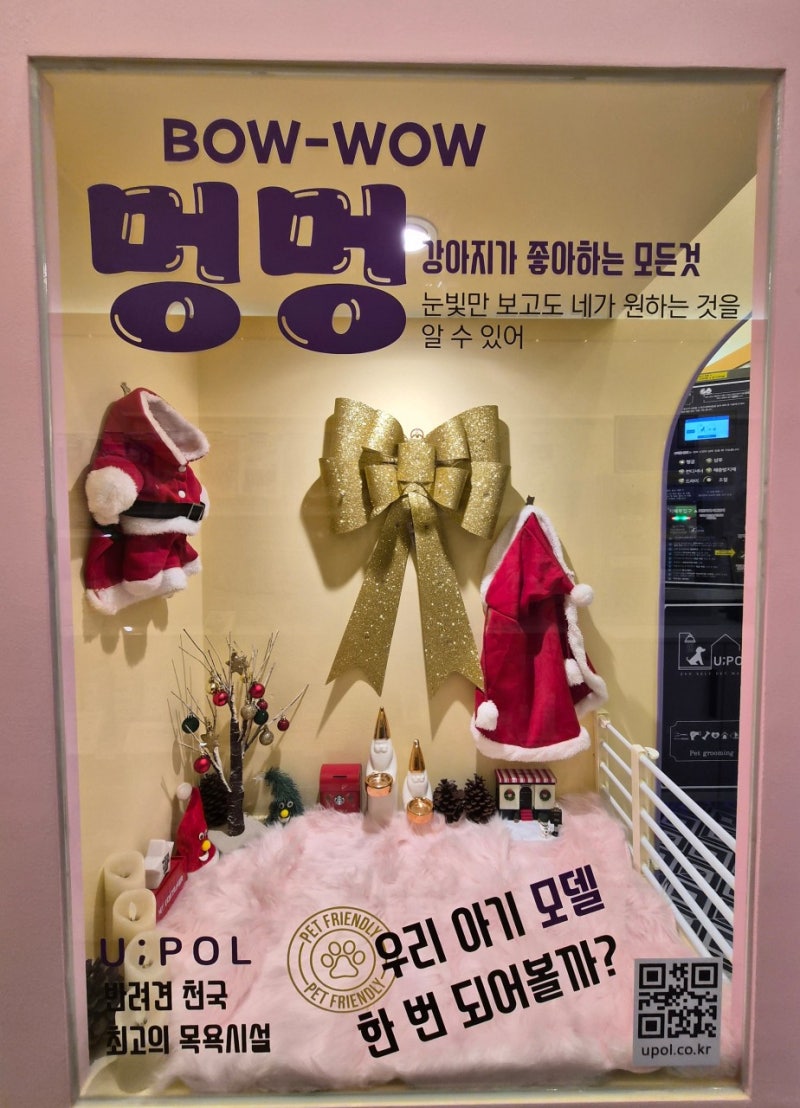 사진 5
