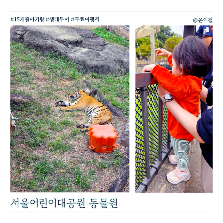  15개월 아기랑 무료 입장 가능한 서울어린이대공원 동물원 방문기