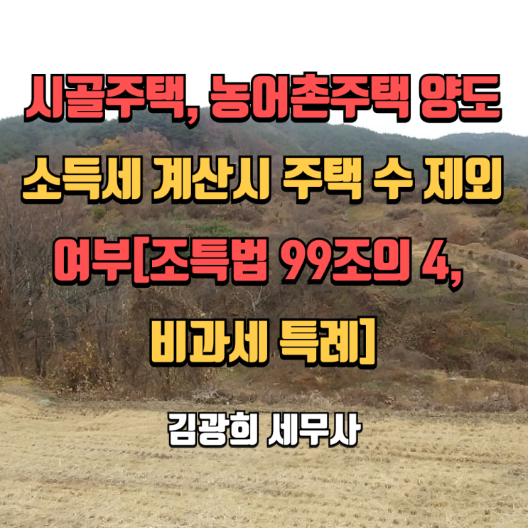  시골주택, 농어촌주택 양도소득세 계산시 주택 수 제외 여부[조특법 99조의 4, 비과세 특례]