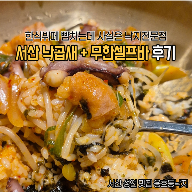  서산 성연맛집 용호동낙지 낙곱새 후기 거의 뷔페급인 셀프바 세계맥주