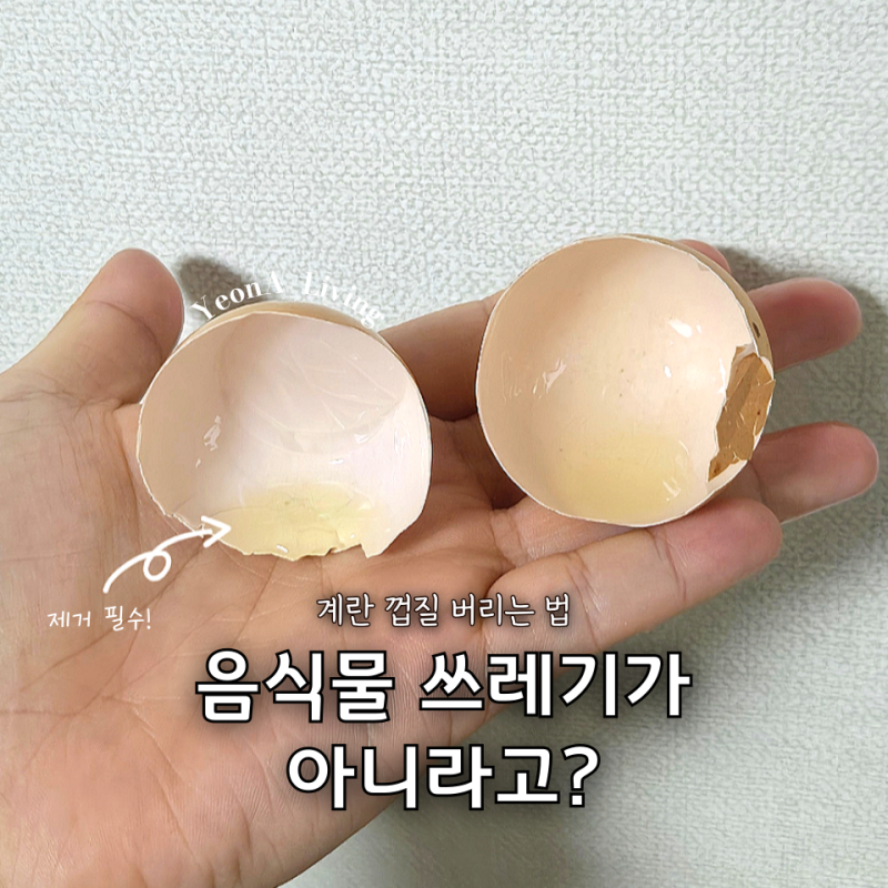 엄마도 몰랐던 "계란 껍질" 제대로 버리는 법