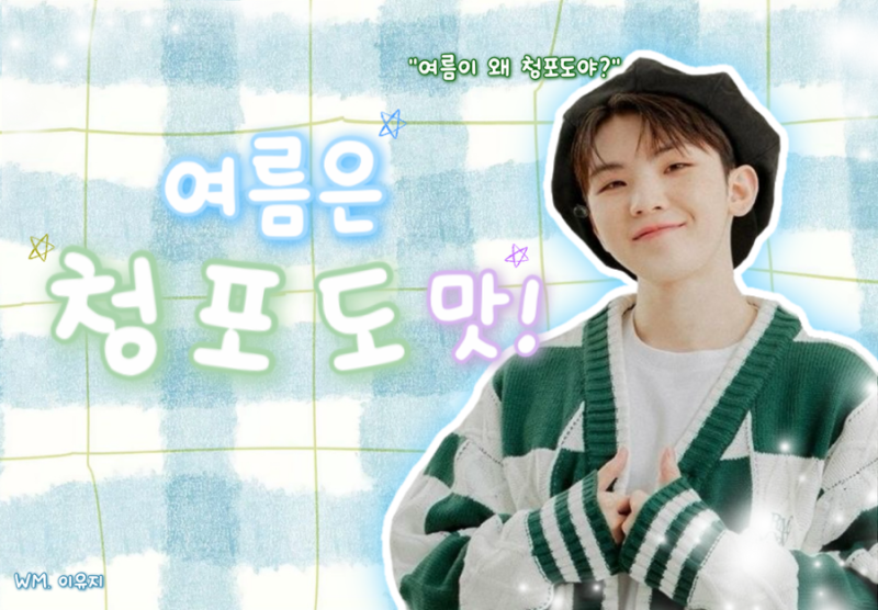 [SEVENTEEN Long Fanfiction / Woozi Fanfiction] Summer Tastes Like Green Grapes! Special: Profile ✨