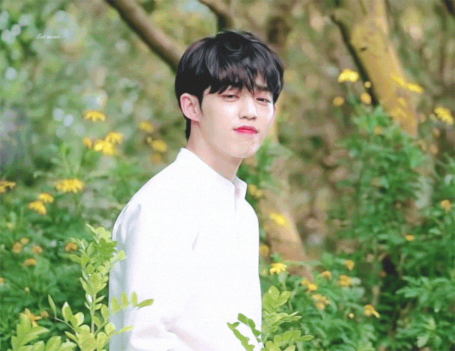 [SEVENTEEN Fanfiction / S.Coups Fanfiction] - Permeating Love