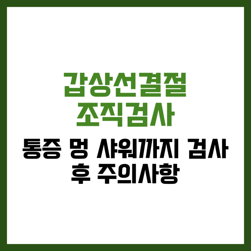 갑상선결절 조직검사 후 주의사항 총정리｜통증·멍·샤워까지