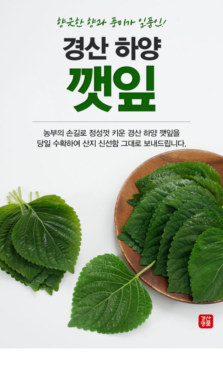  경산 하양 깻잎 산지직송 당일 수확의 향긋함