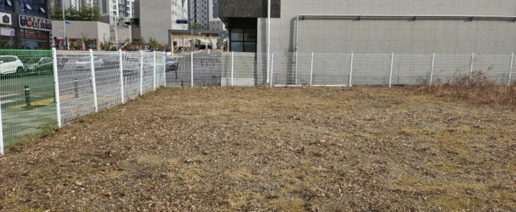  울산 북구 송정동 1234-2 택지 50평 예초 및 벌목대행("울산예초대행 ")