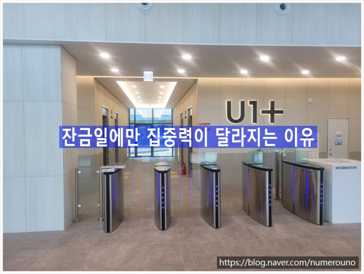  잔금일에만 집중력이 달라지는 이유