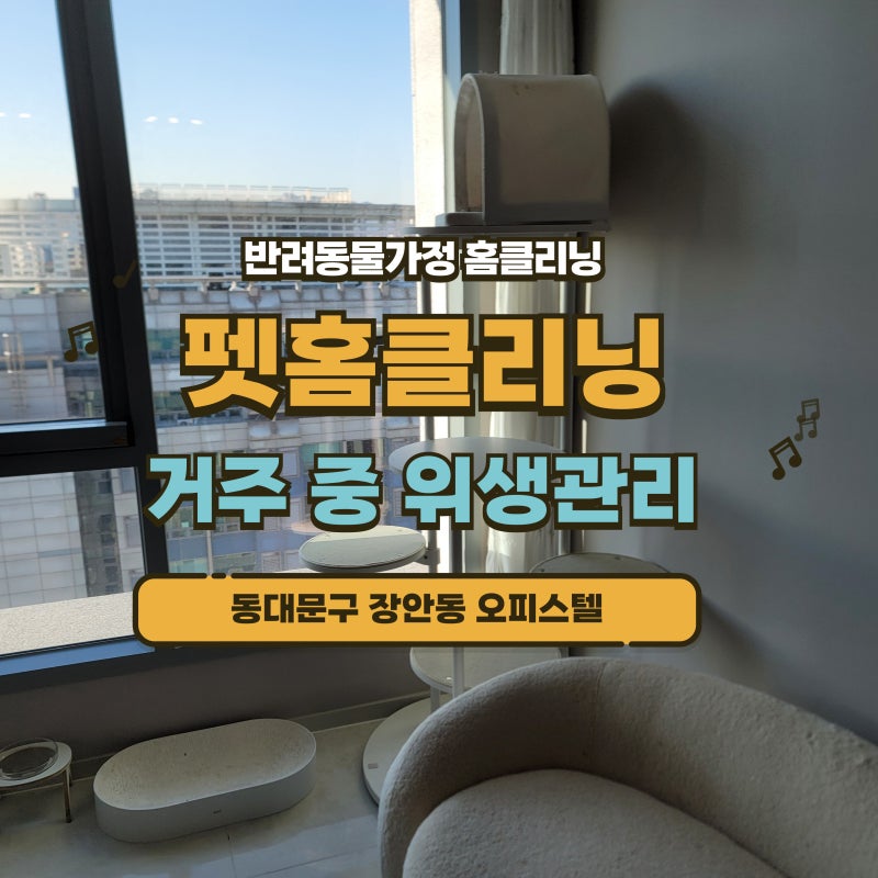 동대문구 장안동 드플랏장안오피스텔 고양이털 청소 오줌 냄새제거 알러지 소독 전문 업체