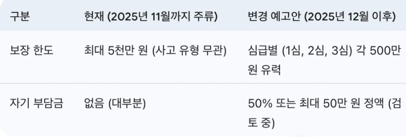 운전자보험 2025년 개정 변호사 비용 5천만 원→500만 원 축소? 왜?