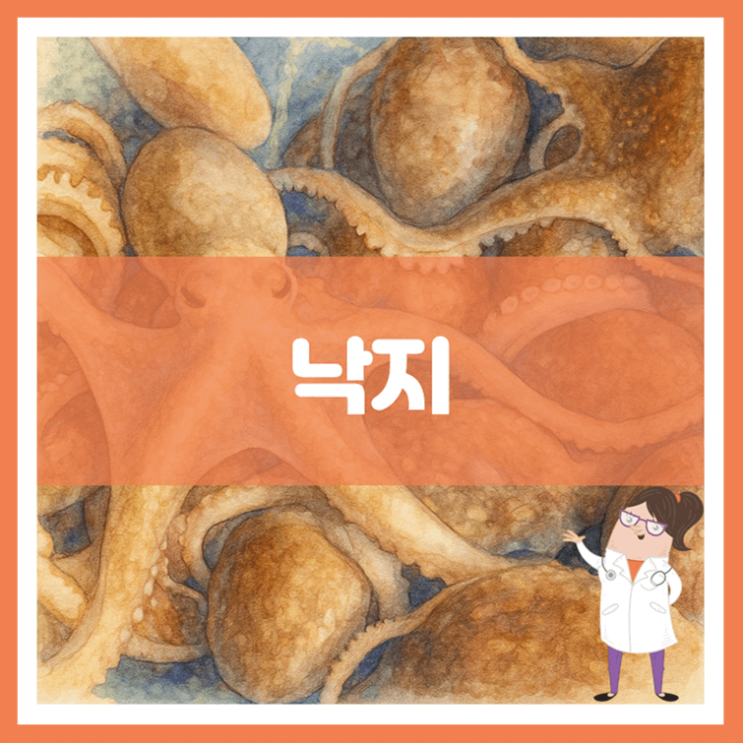  낙지 효능 부작용 보관방법