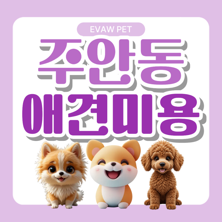  주안동애견미용학원ㅣ 농장견·공장견 수업으로 브루셀라병·' 전염 가능성 분석과 안전한 선택 가이드