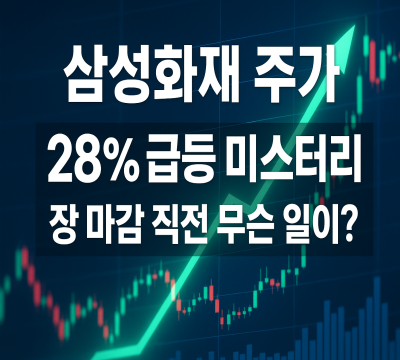  삼성화재 주가 28% 급등의 진실