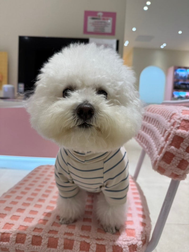 사진 5